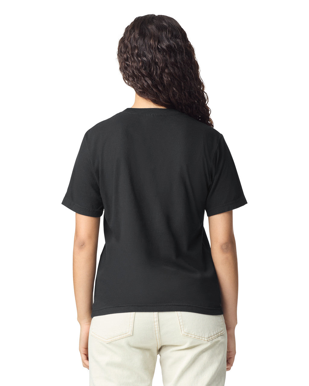Comfort Colors Adult Heavyweight T-Shirt (1717)