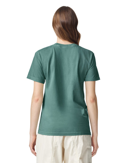 Comfort Colors Adult Heavyweight T-Shirt (1717)