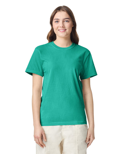 Comfort Colors Adult Heavyweight T-Shirt (1717) 2nd colour