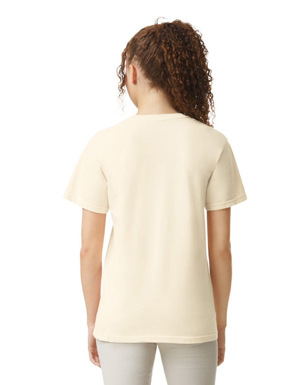 Comfort Colors Adult Heavyweight T-Shirt (1717) 2nd colour
