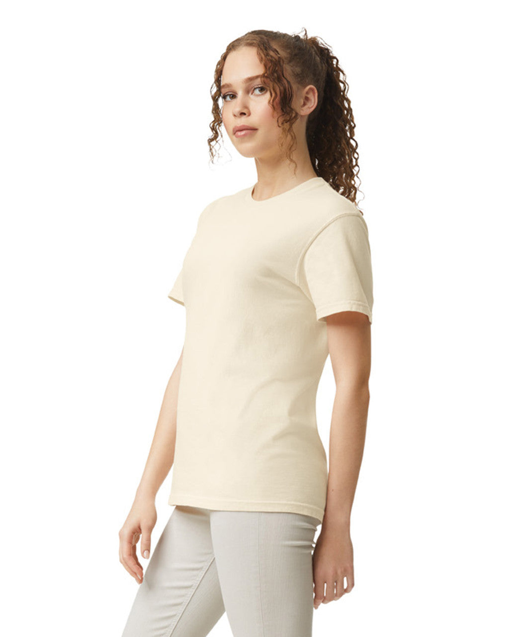 Comfort Colors Adult Heavyweight T-Shirt (1717) 2nd colour