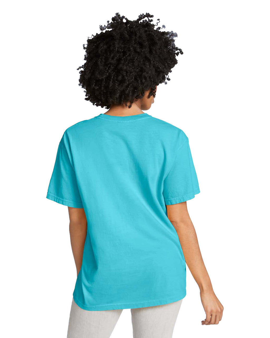 Comfort Colors Adult Heavyweight T-Shirt (1717) 2nd colour