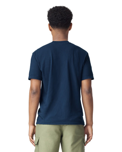 Comfort Colors Adult Heavyweight T-Shirt (1717) 3rd colour