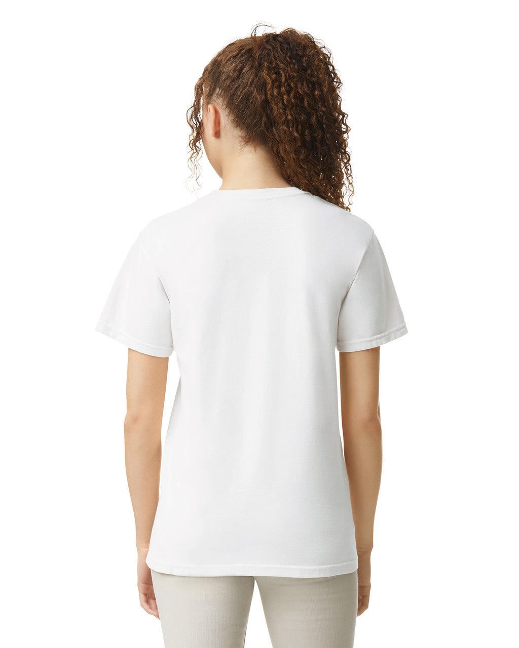 Comfort Colors Adult Heavyweight T-Shirt (1717) 3rd colour