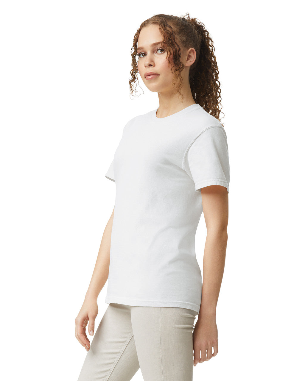 Comfort Colors Adult Heavyweight T-Shirt (1717) 3rd colour