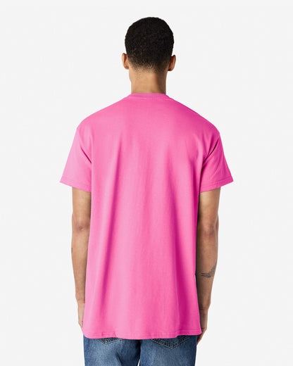 Gildan Ultra Cotton Adult T-Shirt (2000)