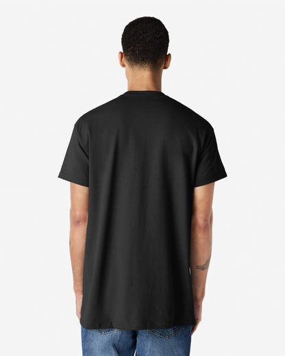 Gildan Ultra Cotton Adult T-Shirt (2000)