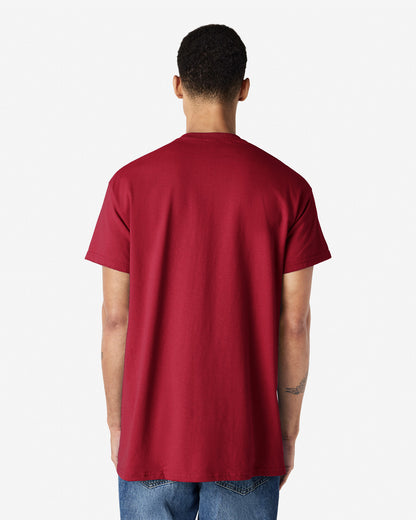Gildan Ultra Cotton Adult T-Shirt (2000)