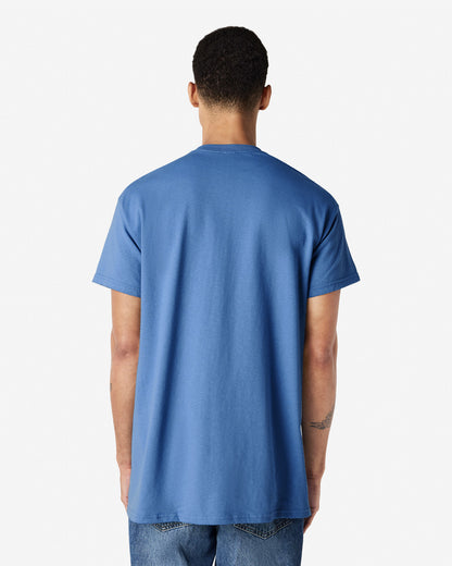 Gildan Ultra Cotton Adult T-Shirt (2000)