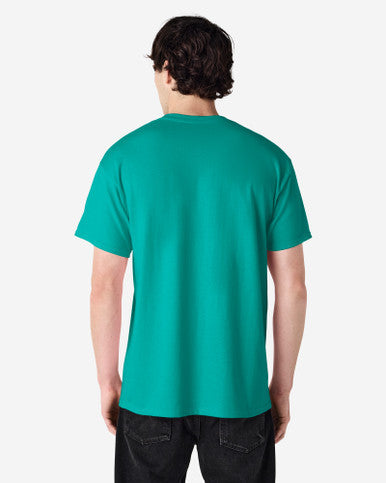Gildan Ultra Cotton Adult T-Shirt (2000)