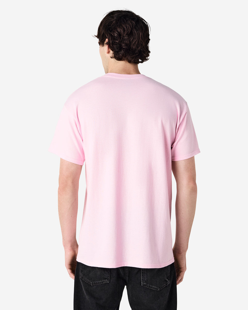 Gildan Ultra Cotton Adult T-Shirt (2000) 2nd color