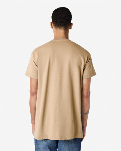 Gildan Ultra Cotton Adult T-Shirt (2000) 3rd color