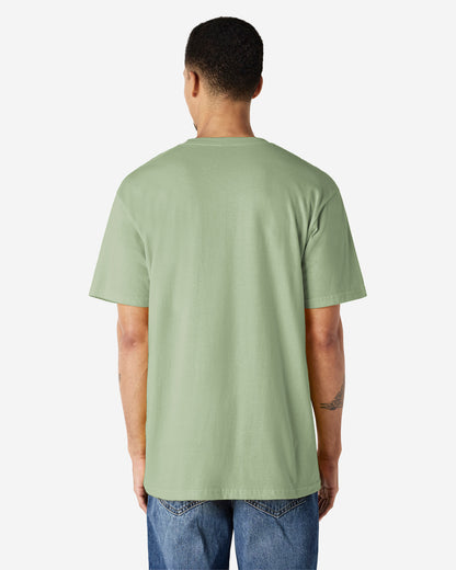 Gildan Soft Style Adult T/S (2nd 10 Colour)-(65000)