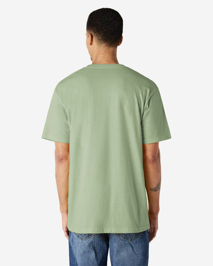 Gildan Soft Style Adult T/S (65000)