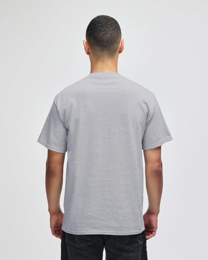 Champion Adult Cotton Jersey T-Shirt (T425)