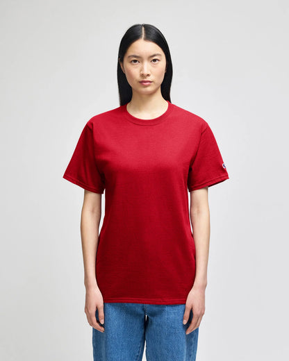 Champion Adult Cotton Jersey T-Shirt (T425)