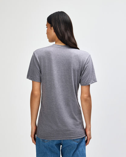 American Apparel Tri-Blend Unisex Track T-Shirt (TR401)