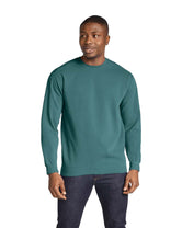 Comfort Colors Adult Crewneck Sweatshirt (1566)