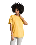 Comfort Colors Adult Heavyweight T-Shirt (1717)